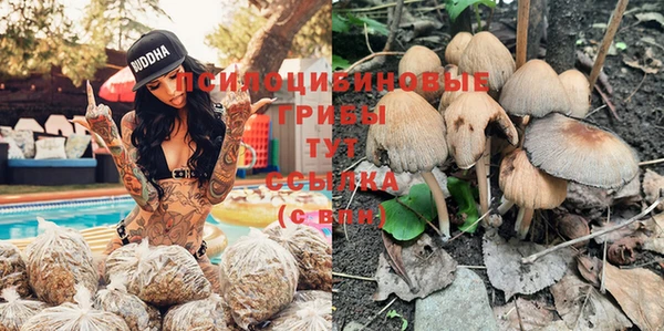 apvp Краснотурьинск