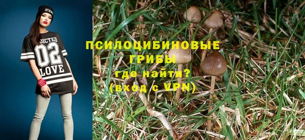 apvp Краснотурьинск