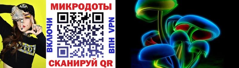 Галлюциногенные грибы Psilocybe  Юрга 