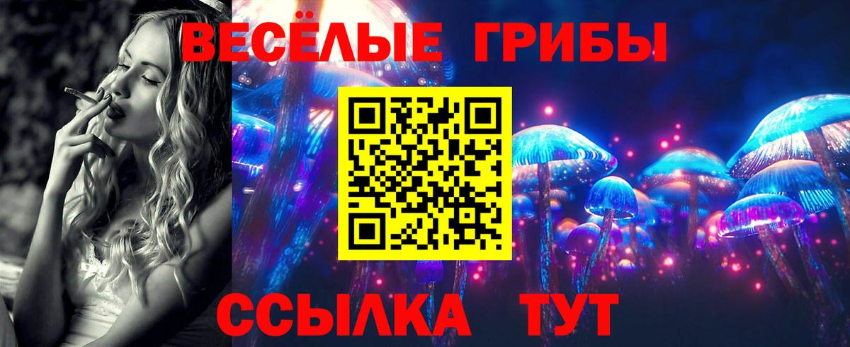 Псилоцибиновые грибы мицелий Юрга
