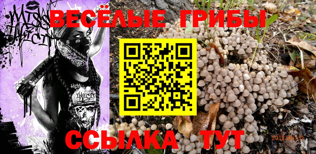 Псилоцибиновые грибы Psilocybe  Вход с VPN  как найти закладки  Юрга 